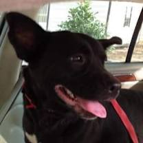 Thumbnail photo of Lilly #1