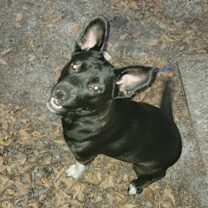 Thumbnail photo of Lilly #2