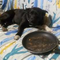 Thumbnail photo of Lilly #3