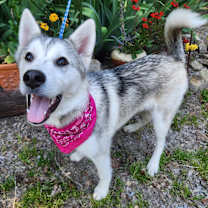 Thumbnail photo of Maya #2