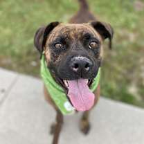 Thumbnail photo of CHIP #1