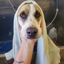 Thumbnail photo of Jasper #4