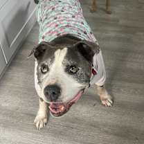 Thumbnail photo of Gilda #2