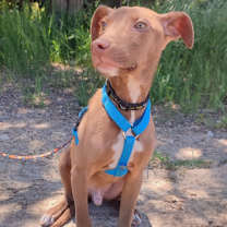 Thumbnail photo of Ludwin #1