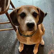 Thumbnail photo of Twiggy #4