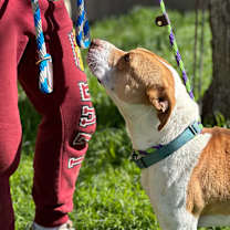 Thumbnail photo of Gucci #2