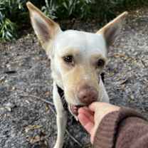 Thumbnail photo of LiLou #1