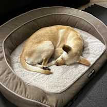 Thumbnail photo of LiLou #3