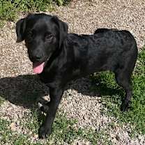 Thumbnail photo of Speck #2