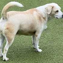 Thumbnail photo of Margarita #3