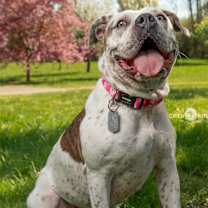 Thumbnail photo of Natasha #4