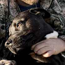 Thumbnail photo of CASSIDY #3