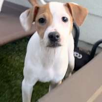 Thumbnail photo of Maya #3