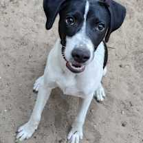 Thumbnail photo of Hunter #2