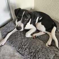 Thumbnail photo of Hunter #3
