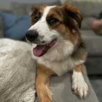 Thumbnail photo of Jovie #1