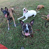 Thumbnail photo of Nova #2