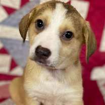 Thumbnail photo of Charlie #1