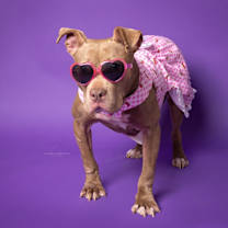 Thumbnail photo of OLIVIA #3