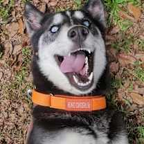 Thumbnail photo of Penny #3
