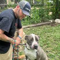 Thumbnail photo of Gray #1