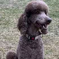 Thumbnail photo of Hubert #1