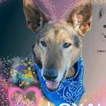 Thumbnail photo of Jules #3