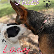 Thumbnail photo of Jules #4