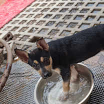 Thumbnail photo of Rocket #3
