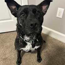 Thumbnail photo of Lily #1