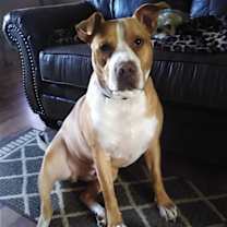 Thumbnail photo of Karl #1