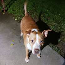 Thumbnail photo of Karl #2
