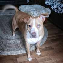 Thumbnail photo of Karl #4