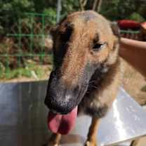Thumbnail photo of Ms. Marley (China) sf #1