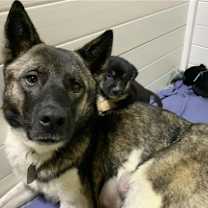 Thumbnail photo of Kiki #4