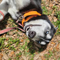 Thumbnail photo of Penny #4