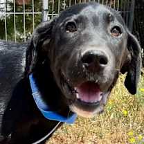 Thumbnail photo of Brett #2