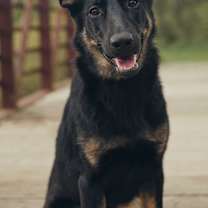 Thumbnail photo of Nellie #1