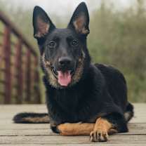 Thumbnail photo of Nellie #3