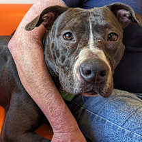 Thumbnail photo of Gertrude #3