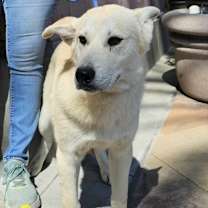 Thumbnail photo of Miska #2