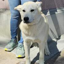 Thumbnail photo of Miska #3