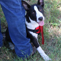 Thumbnail photo of Willy #2