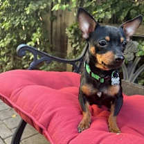 Thumbnail photo of Prince Charles #1
