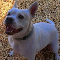 Thumbnail photo of Angel #4