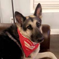 Thumbnail photo of Ranger #1