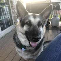 Thumbnail photo of Ranger #3