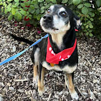 Thumbnail photo of Jack #2