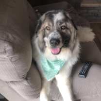 Thumbnail photo of maggie #1