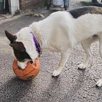 Thumbnail photo of Sailor #2